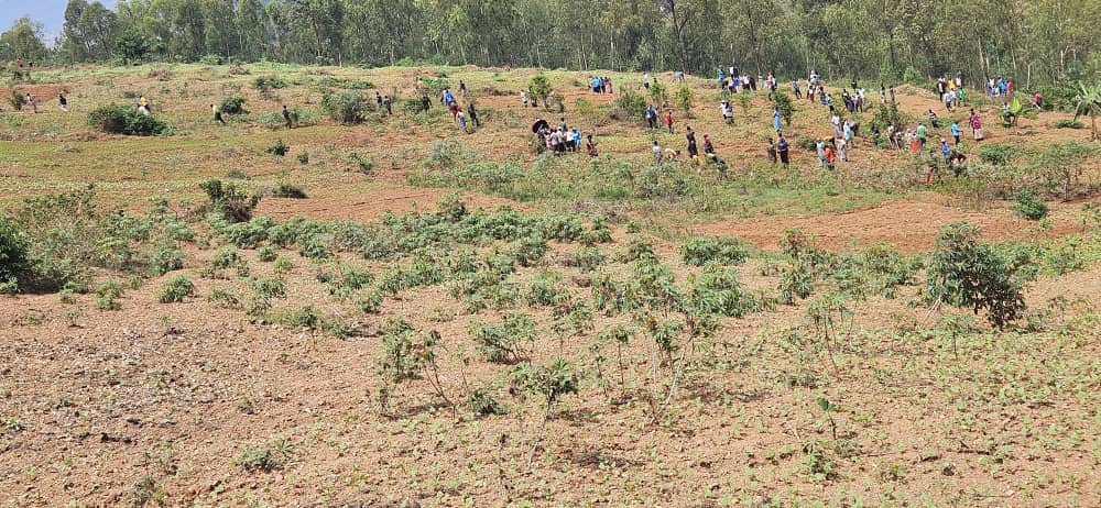 Nduba Sector tweet media