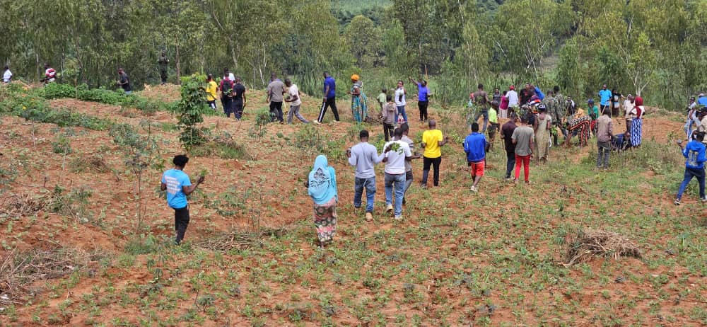 Nduba Sector tweet media