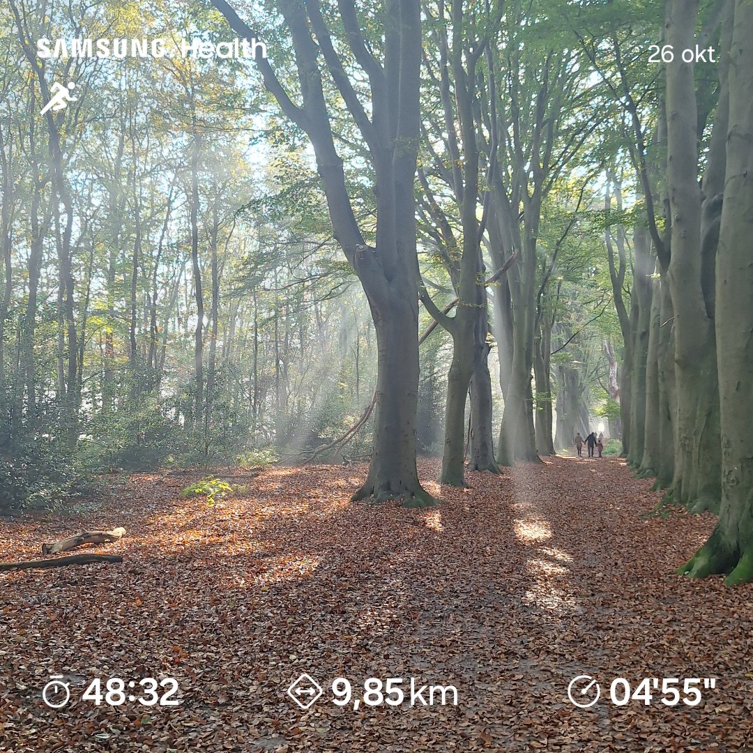 HofGerrit's tweet photo. Nét de 10km niet aangetikt😆🏃‍♂️‍➡️🏃‍♂️‍➡️🏃‍♂️‍➡️maar wát een weertje weer.
En dan besef je dat #Fryslân écht alles heeft,ook bos🫶🏃‍♂️‍➡️#autumnrunning🌞🌞🌞 https://t.co/DwkTcFbcbb