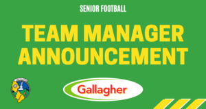Leitrim GAA tweet media