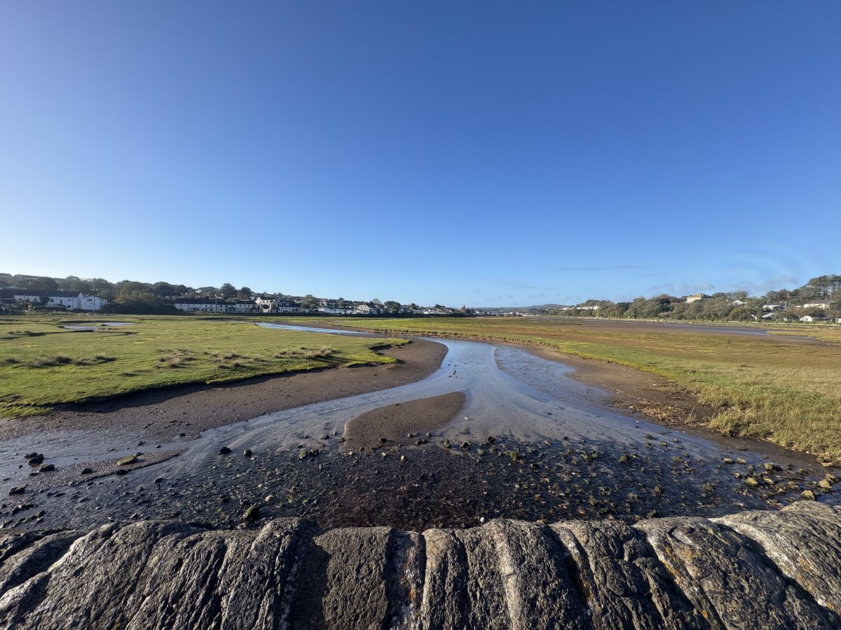 JackiHicks's tweet photo. Sunshine and blue sky 😎💙#walkfromhome #myphotography #nofilterneeded 📷 https://t.co/tQZCsXhi6A