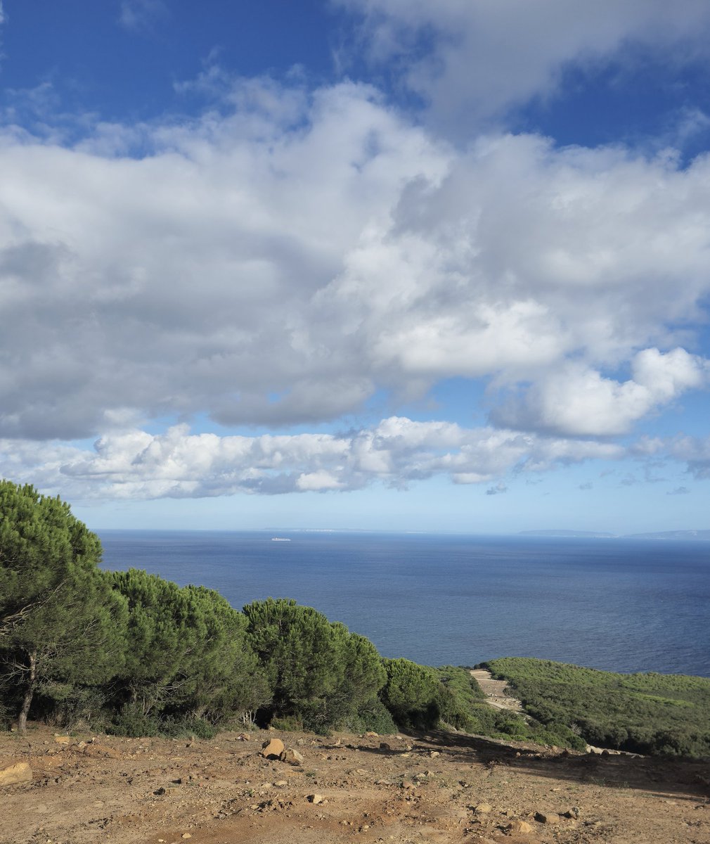 Reda_'s tweet photo. Petite balade f Rahrah/Medyouna...
13,95km D+425 #RunningInTangier #TrailViews #Hamdoullah https://t.co/xdcQPl5xnv