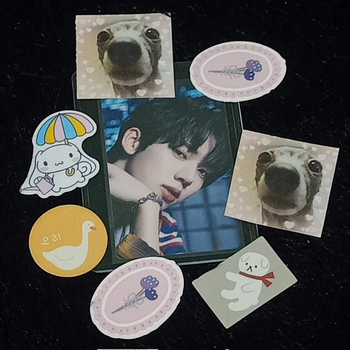 wooflwr's tweet photo. #haoruiproof | @haoruicart ౨ৎ

— finally received the pc from the giveaway ! it was packed vv well and thank you so much for the freebies : ] yujinie arrived safely ! 💗 https://t.co/vrQxfHl8X9