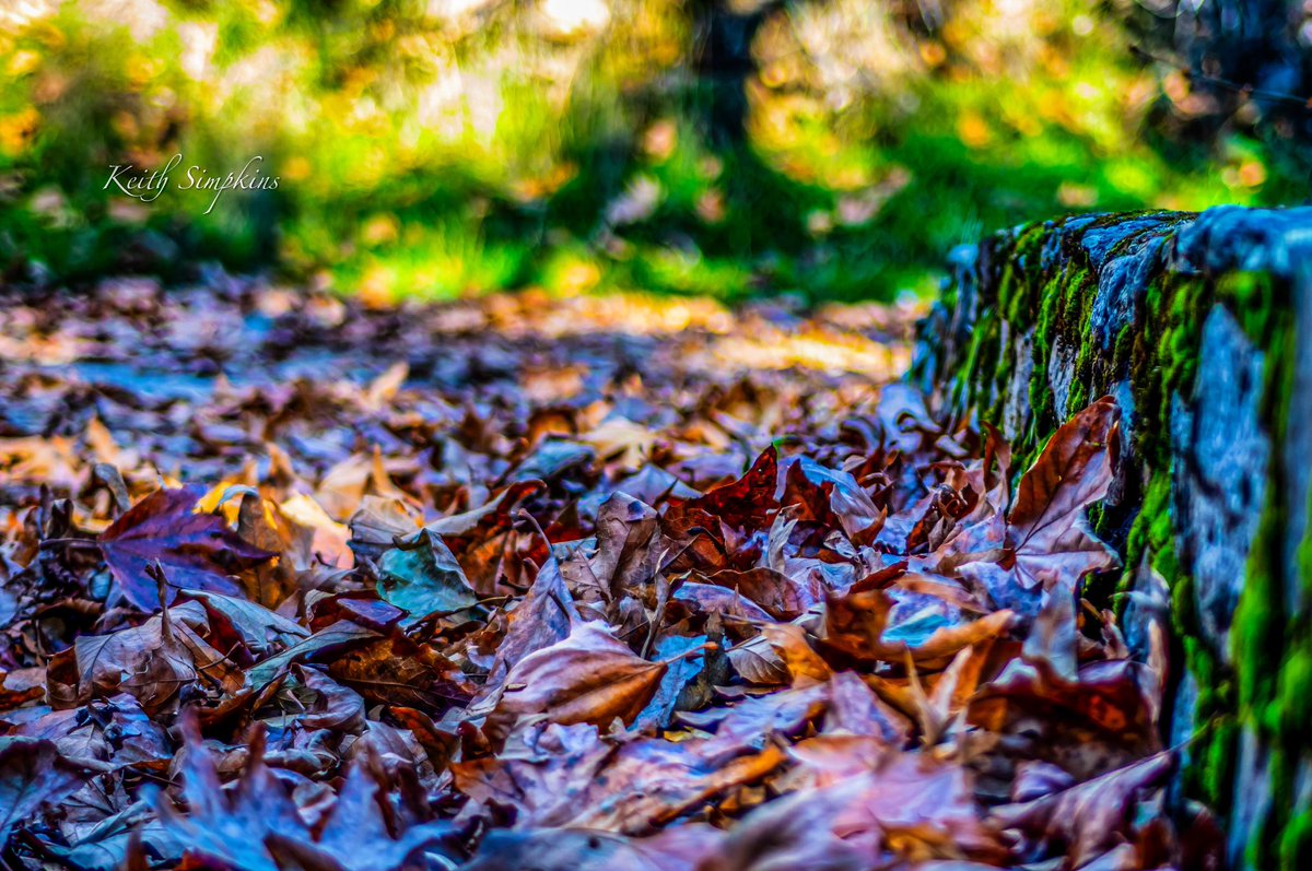KeithSimpkins37's tweet photo. https://t.co/qq0GuiDU3h

Like and share, thank you!

Follow me @ https://t.co/mXSKY3Z8Sd 
#rockwall #autumn #leaves #travelphotography #outdoors #beautifuldestinations #picoftheday #photography #photooftheday #landscapephotography #digitalart #phototoartist https://t.co/XYPwJXihsA