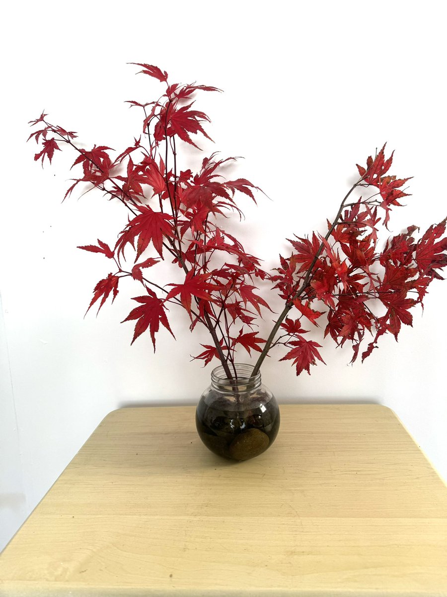 007stardast's tweet image. 庭のもみじが🍁綺麗に赤く色づき、殺風景なガレージに刺してみました🍁コーヒーを一杯☕️秋を感じます🍂😆