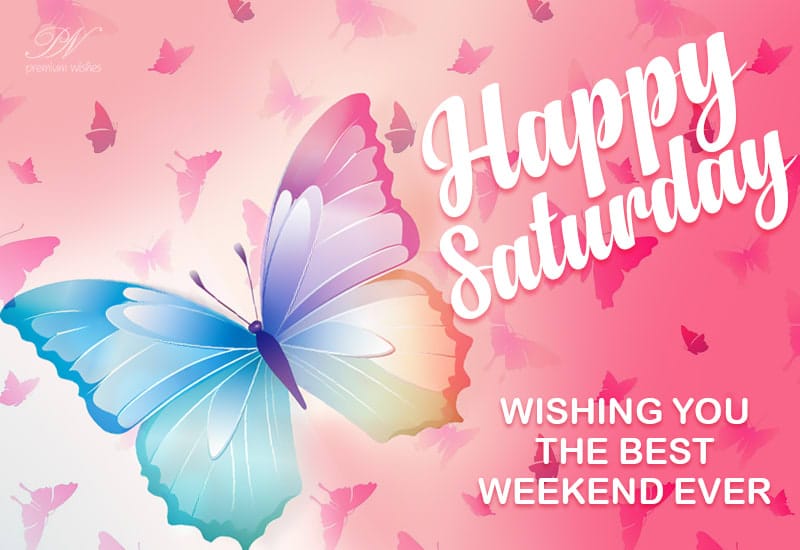 KayP68058217's tweet photo. Happy saturday all xx 🤗🤗🤗 https://t.co/cfsQb96odx