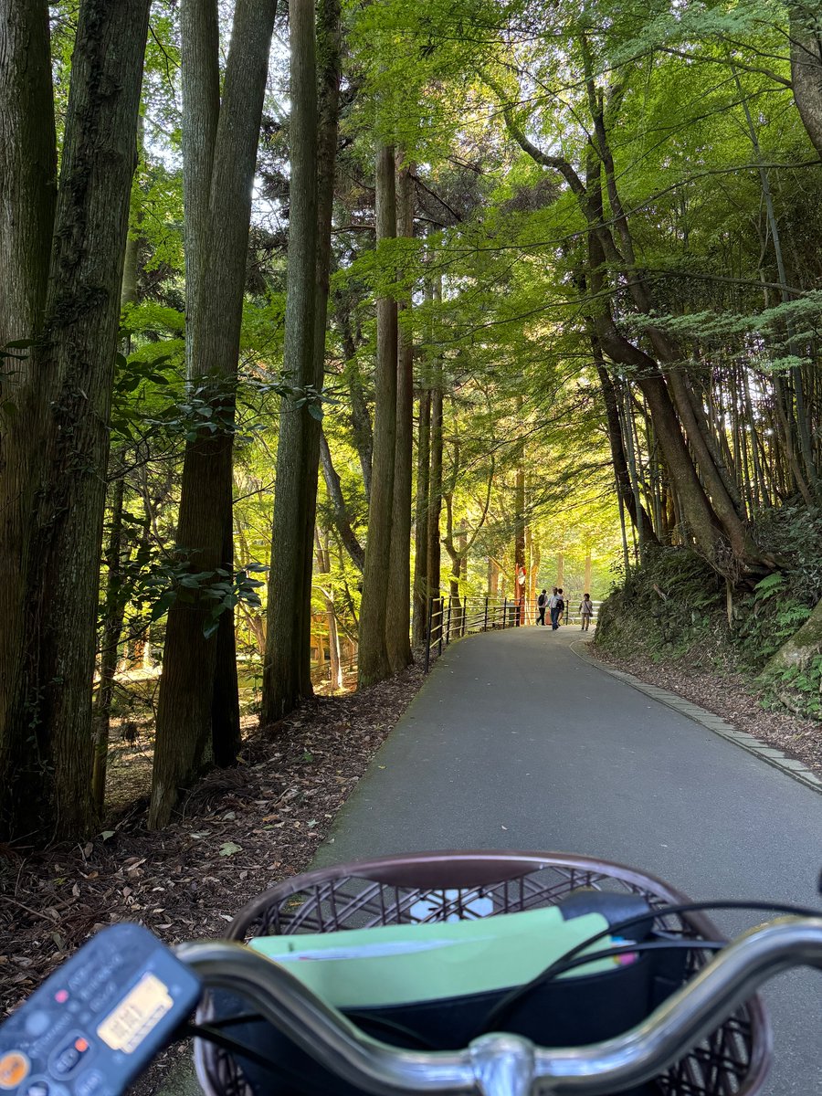 shimane_iwami's tweet photo. ＃鈴木拡樹　さん　#IWAMI旅 
ロケ地巡りツアー✈️👜

大森の町〜龍源寺間歩　散策🚶

今回は
レンタサイクルにも挑戦🚲

＃石見銀山
＃大森町
＃銀力車 https://t.co/GDueXcLf3O