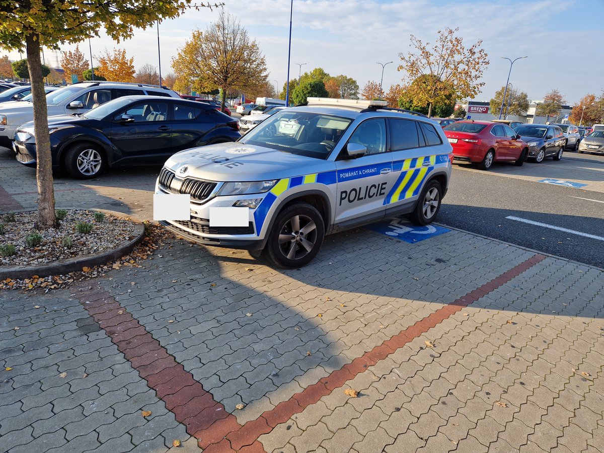 Riki Fridrich tweet media