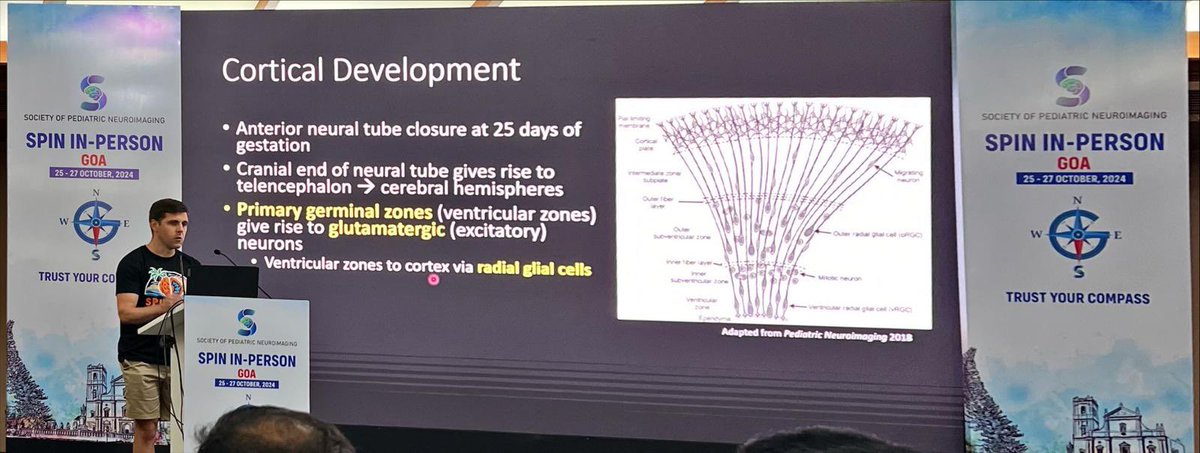spinacademics's tweet photo. Top! Malformations of the brain and spine covered, with the young, highly intellectual and stylish stalwarts. #SPIN24 https://t.co/GYfChc5gQQ