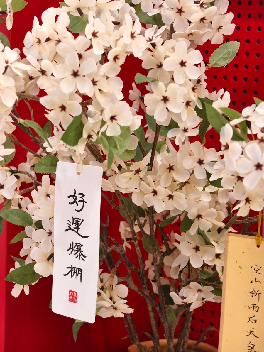 今天我是巧克力，乖巧刻苦又努力