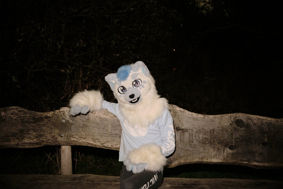 gibafur's tweet image. Last weekend before Halloween 🎃 

Still some time join me for a quiet evening before things get too spooky around here 👻

📷 @Refoofle