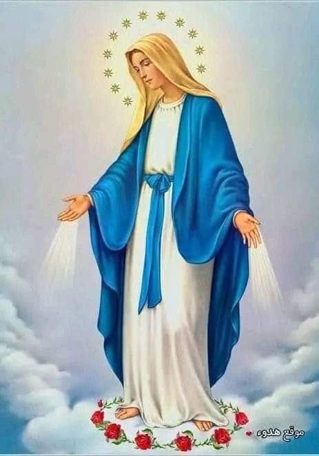 FILA ASTE (@filaa84957) on Twitter photo 