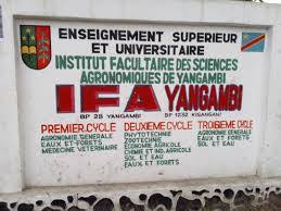 La double cérémonie de collation des grades académiques et clôture de l'année académique à l'institut facultaire des sciences agronomiques de Yangambi (IFA-YANGAMBI), prévue ce samedi à Kisangani, est reportée au lundi 28 octobre 2024. <a href="/Meniko1/">Meniko Pitchou</a>