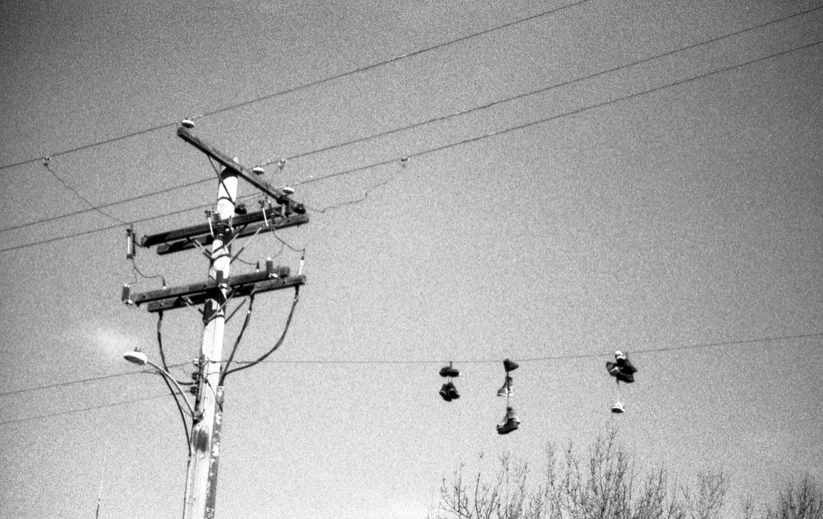 jakkdaveed's tweet image. 