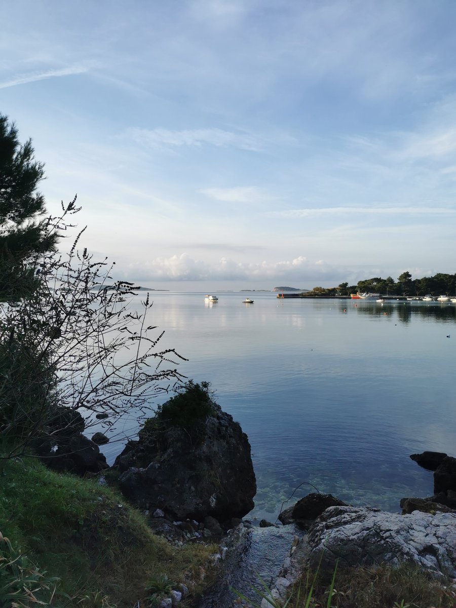 Pierangelo tweet media