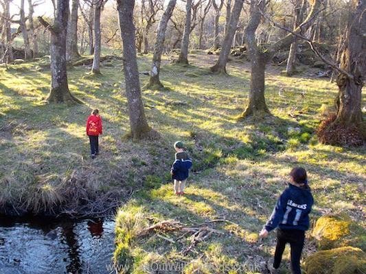 GetOutWithTheKids (@getoutkids) on Twitter photo Don't forget the clocks go back tonight. What are you going to do with that extra hour?! #GetOutside #adventures #outdoorplay  #clocksgoback Don't forget the clocks go back tonight. What are you going to do with that extra hour?! #GetOutside #adventures #outdoorplay  #clocksgoback