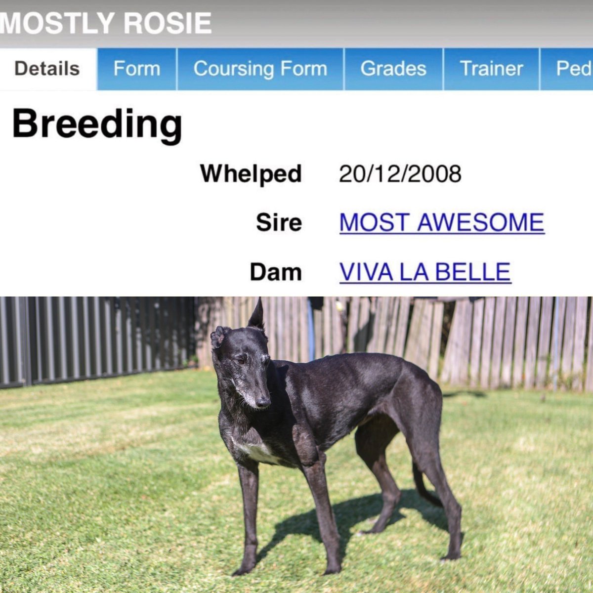 Rob Sheeley tweet media