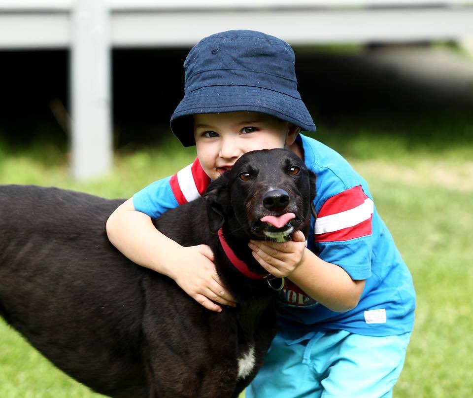 Rob Sheeley tweet media