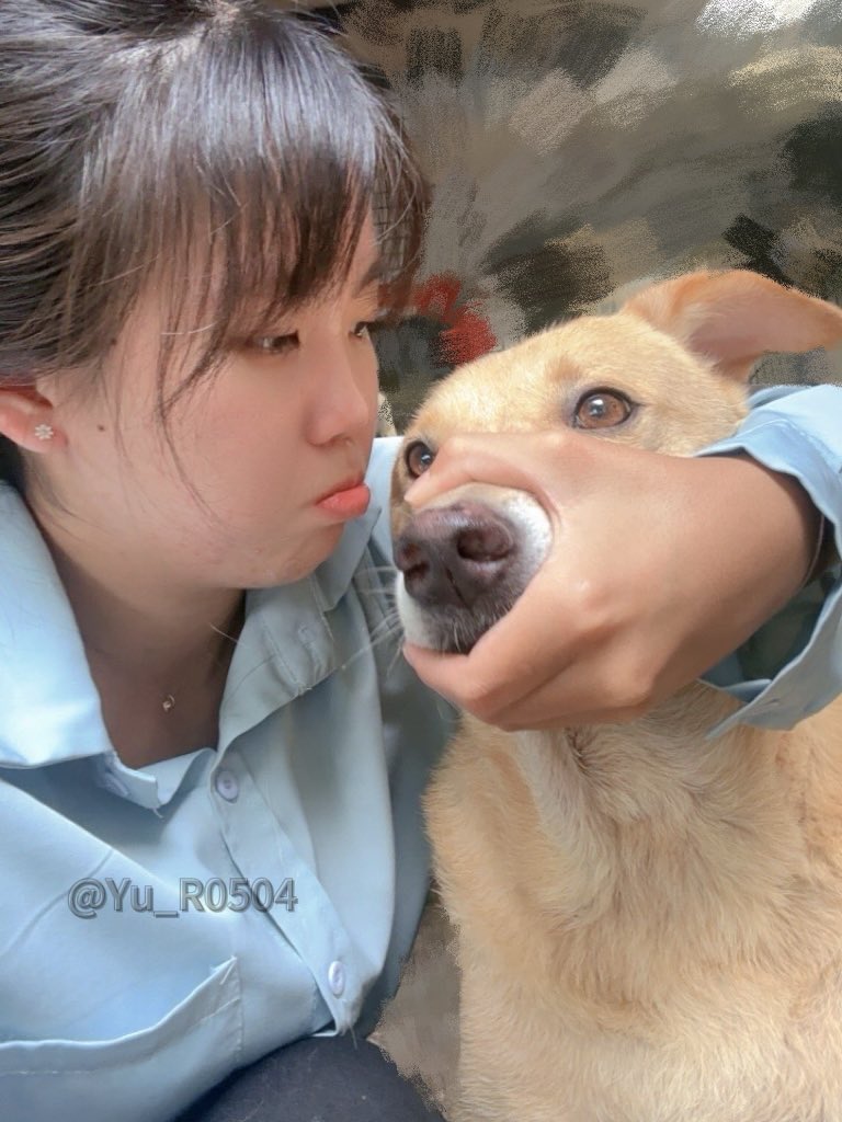 發問🙋‍♀️

這裡有幾隻狗狗🤔😚

嘻嘻與不嘻嘻😆🙁

澎澎老了🥺 https://t.co/vVe5K3NkPD