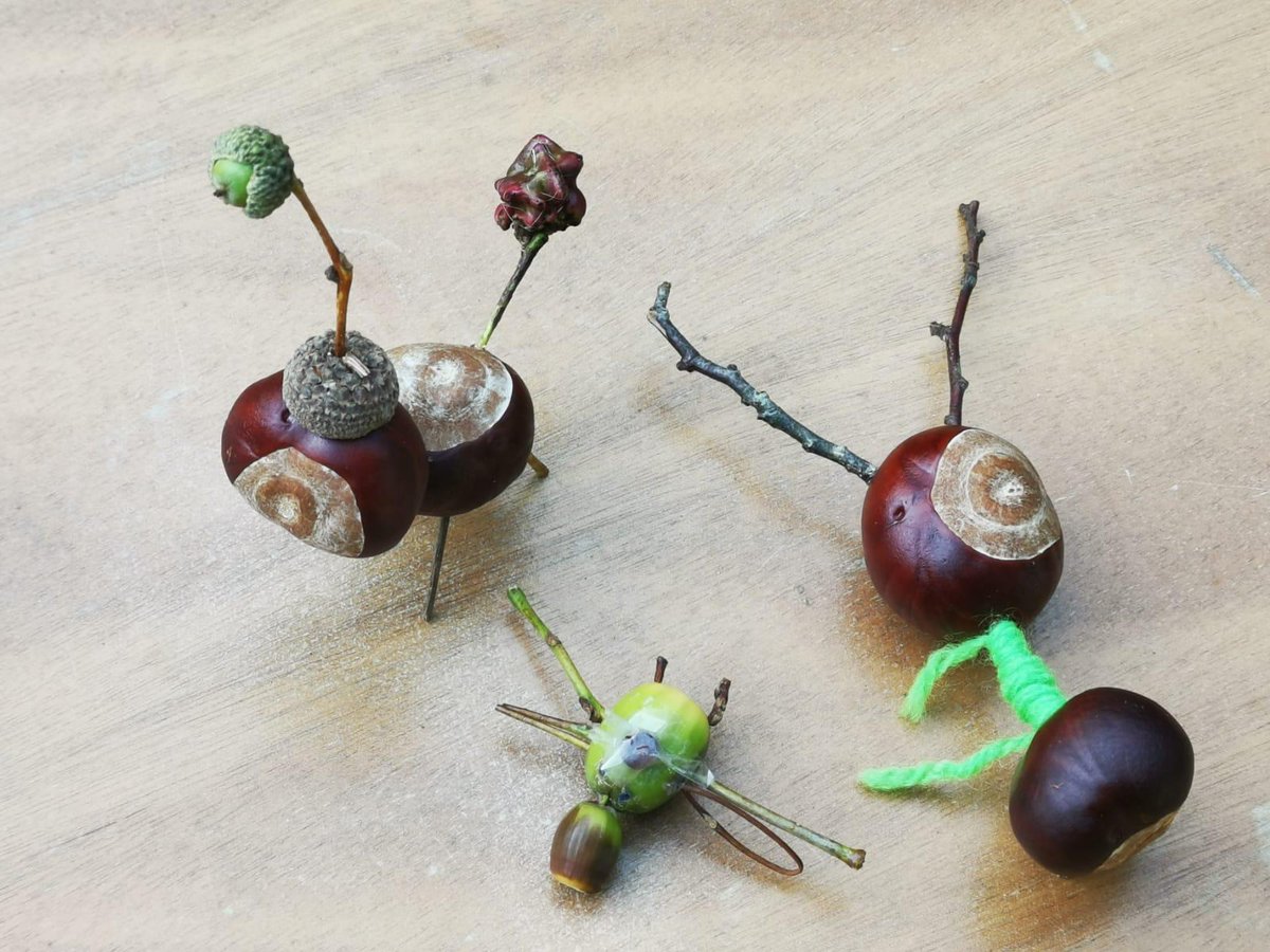 DandelionTimeUK's tweet image. Visiting children and their adults love exploring the surrounding woodland and foraging for treasures to transform into cute or mythical creatures. 
The experiential process rather than the outcome matters, building resilience and confidence.

#NurturingInNature 
#ForagingFun