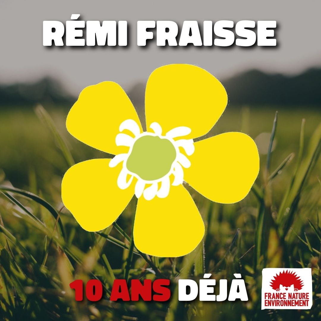 10 ans que #RémiFraisse est décédé, tué par une grenade offensive. 

Jeune écologiste, il manifestait en faveur de la sauvegarde de la Zone Humide de Testet contre le projet destructeur du barrage de #Sivens. 

👉 Rémi Fraisse, 10 ans déjà: fne.asso.fr/actualites/rem…