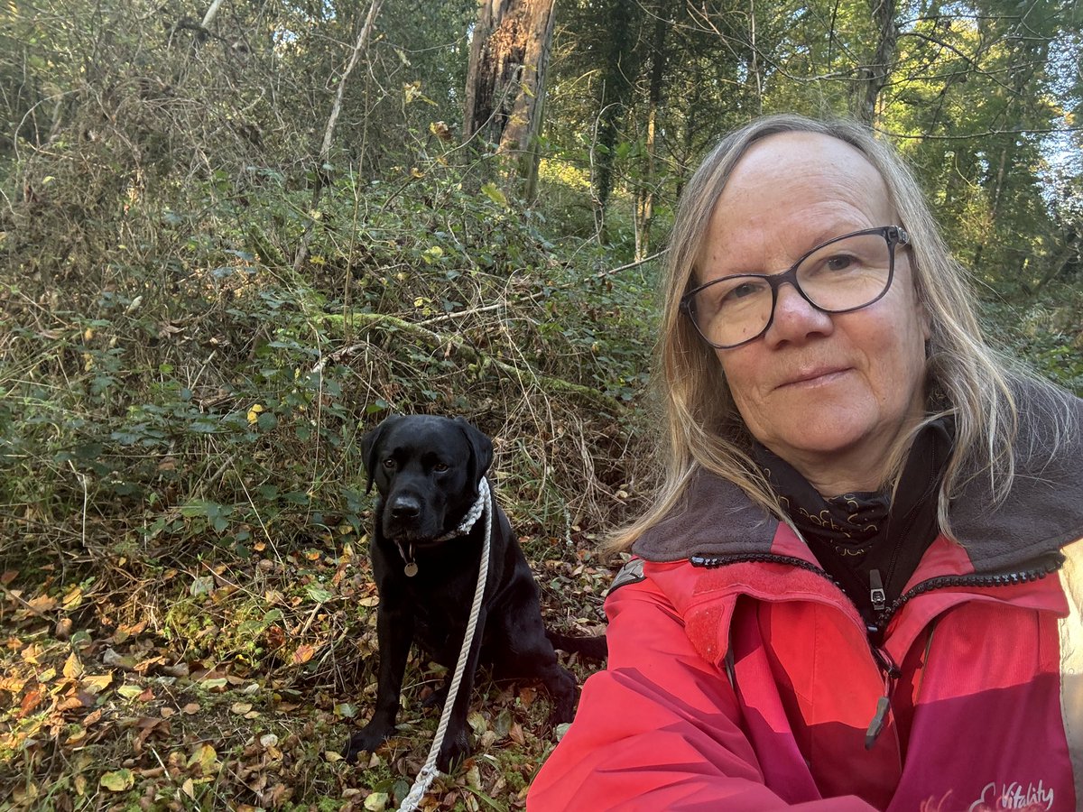 Tamsin Thomas (Harris) (@tamsinharris21) on Twitter photo #Autumn 🍂 in #Cornwall and it’s stunning at <a href="/LanhydrockNT/">Lanhydrock</a> for today’s <a href="/parkrunUK/">parkrun UK</a> No better place to be a #Volunteer marshal My helper today is the J dog. #LoveWhereILive Hoping to be back from injury soon! #Autumn 🍂 in #Cornwall and it’s stunning at <a href="/LanhydrockNT/">Lanhydrock</a> for today’s <a href="/parkrunUK/">parkrun UK</a> No better place to be a #Volunteer marshal My helper today is the J dog. #LoveWhereILive Hoping to be back from injury soon!