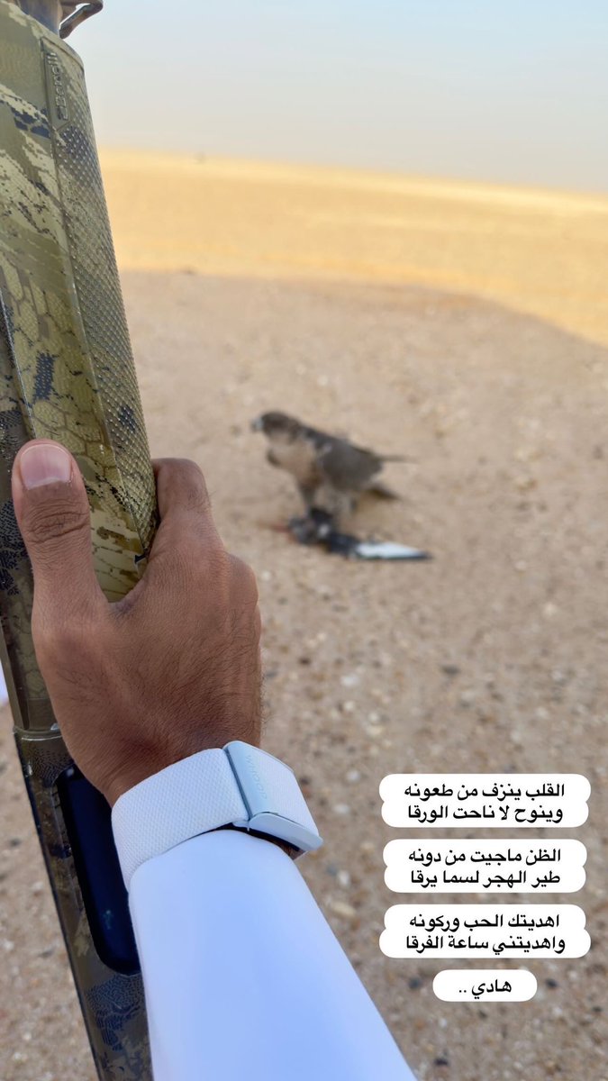 القلب ينزف من طعونه
وينوح لا ناحت الورقا

الظن ماجيت من دونه
طير الهجر لسما يرقا

اهديتك الحب وركونه
واهديتني ساعة الفرقا

هادي ..