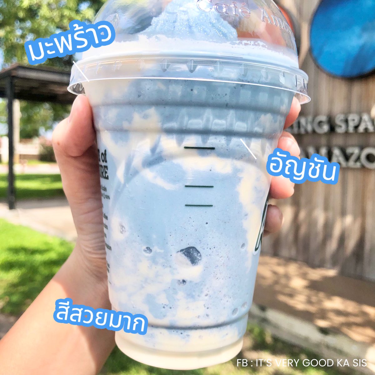 itverygoodkasis's tweet photo. 💙 ฮอตไม่ไหวจนต้องลอง ! 
เมนูใหม่ Cloudy Delight 
มะพร้าวนมสดอัญชันปั่น ✨

หอมนม หวานกลมกล่อมสุดๆ 
สีคือชนะเลิศ สวยมากก 
กินเพลินๆ อร่อยไปลอง 

📍 พิกัด : Café Amazon 
แก้วละ 79.- 

#ปักหมุดร้านอร่อย #รีวิว #อร่อยบอกต่อ #อร่อยจนต้องร้องขอชีวิต #อร่อยไปแดก  #อร่อย #CafeAmazon https://t.co/zlcKqwNb3o