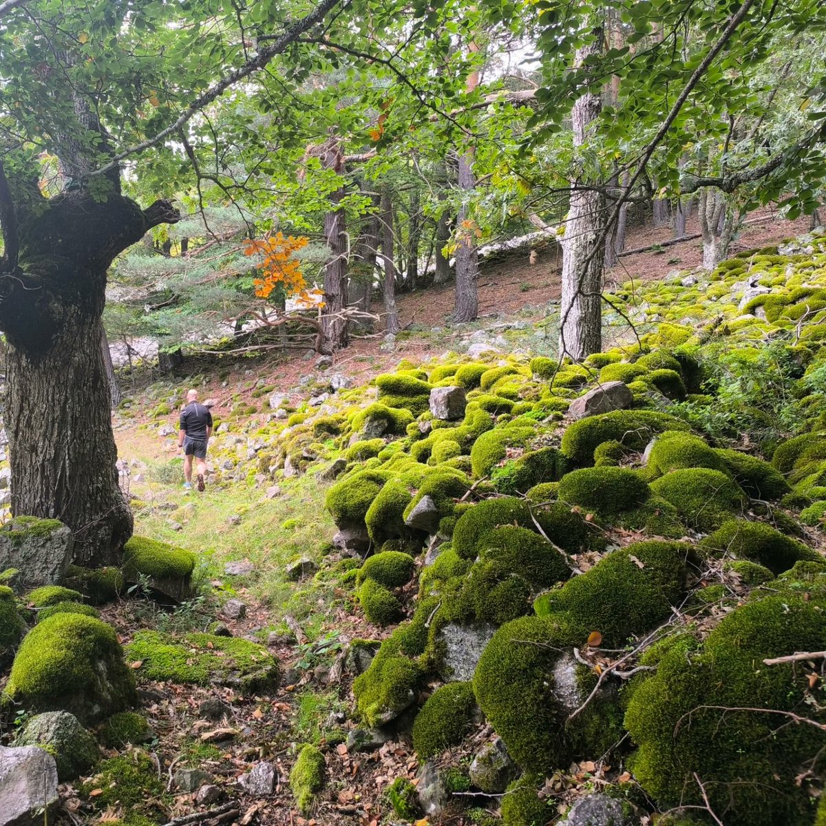 OrtigosaTrail's tweet photo. En nuestro patio de recreo estamos descubriendo lugares nuevos. Un 🫂 y un 😘 para tod@s. https://t.co/OnJPzRmeSz