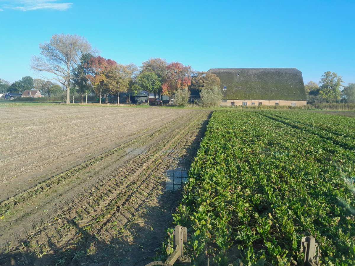Wat een mooie herfst is het, planning deze week weer klaar. Wie willen er volgende week?