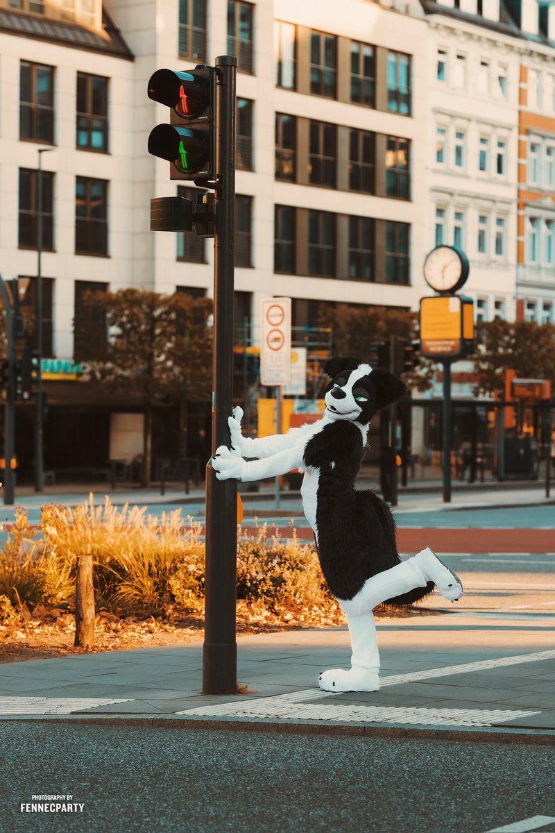 valientebarks's tweet photo. I wonder if you look both ways when you cross my mind✨

📸 @FENNECPARTY https://t.co/hYDDQ7IRob