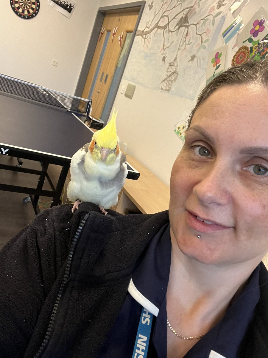 Springwood Ward tweet media