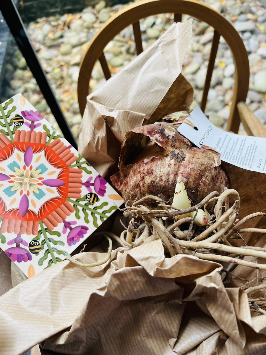 Jenny Eclair tweet media