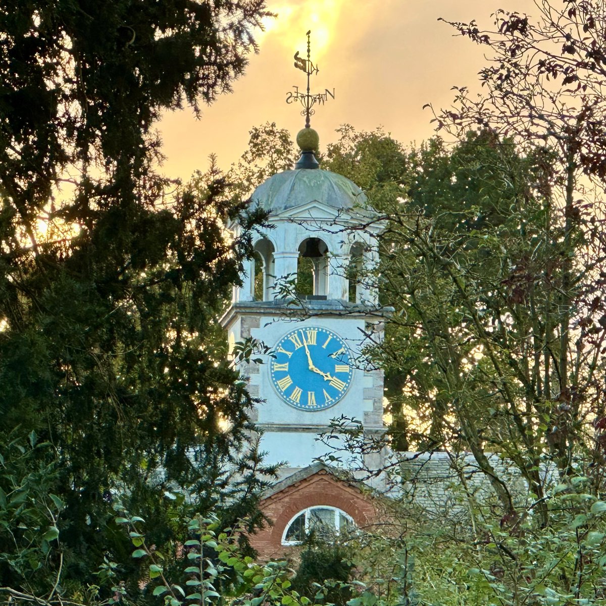 Clumber Park, National Trust tweet media