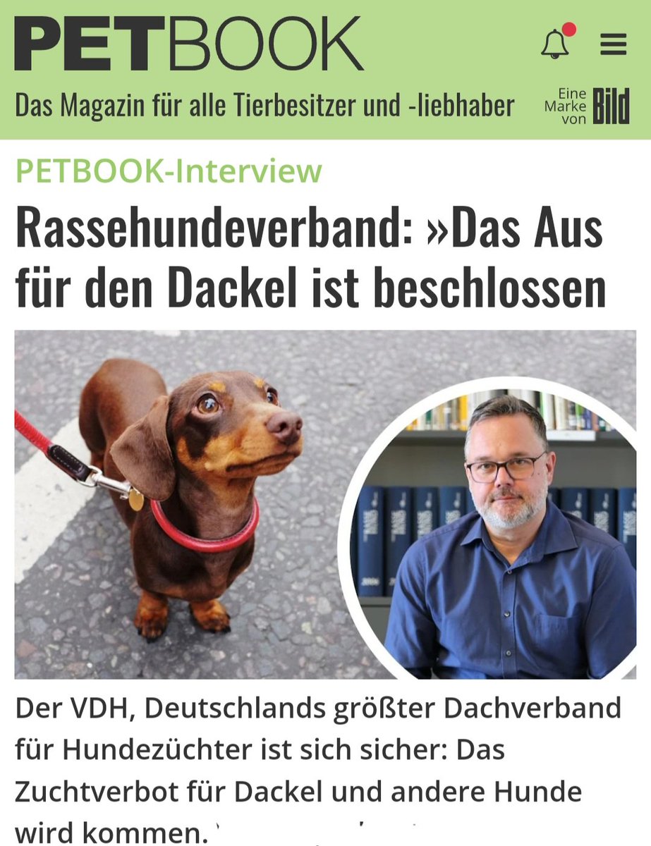 𝐙𝐮𝐤𝐮𝐧𝐟𝐭𝟑𝟕 - Bernd F. - F wie Freiheit! 🗽 tweet media