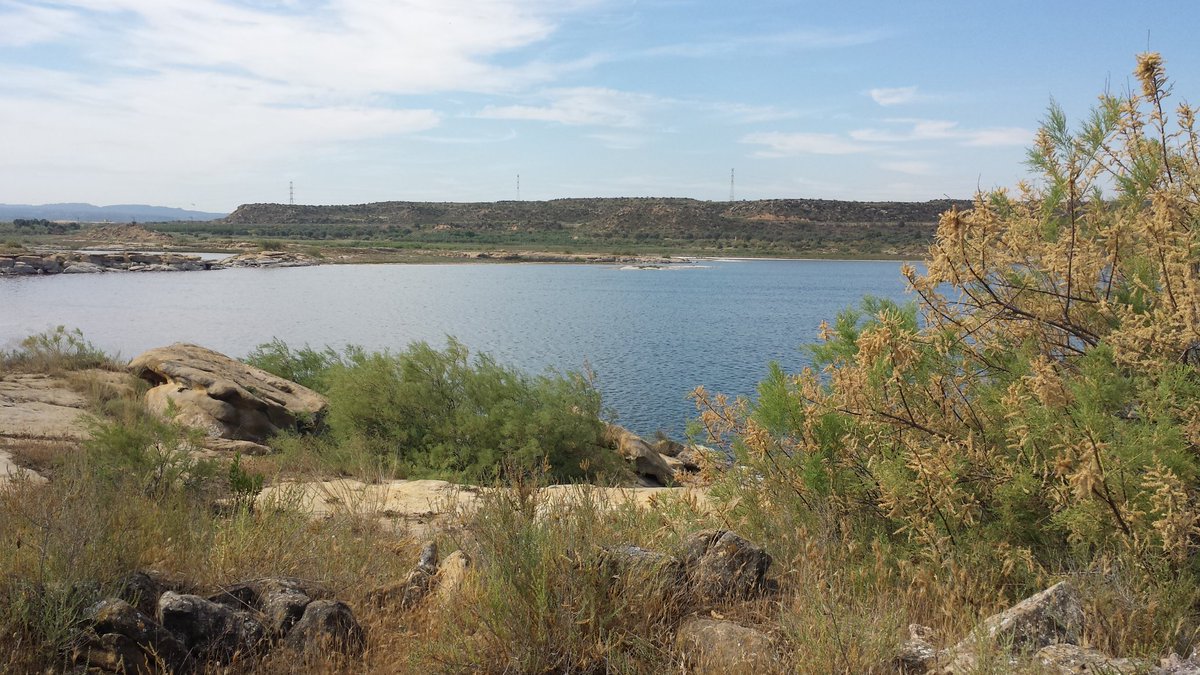 Máximo Florín ☮️ tweet media