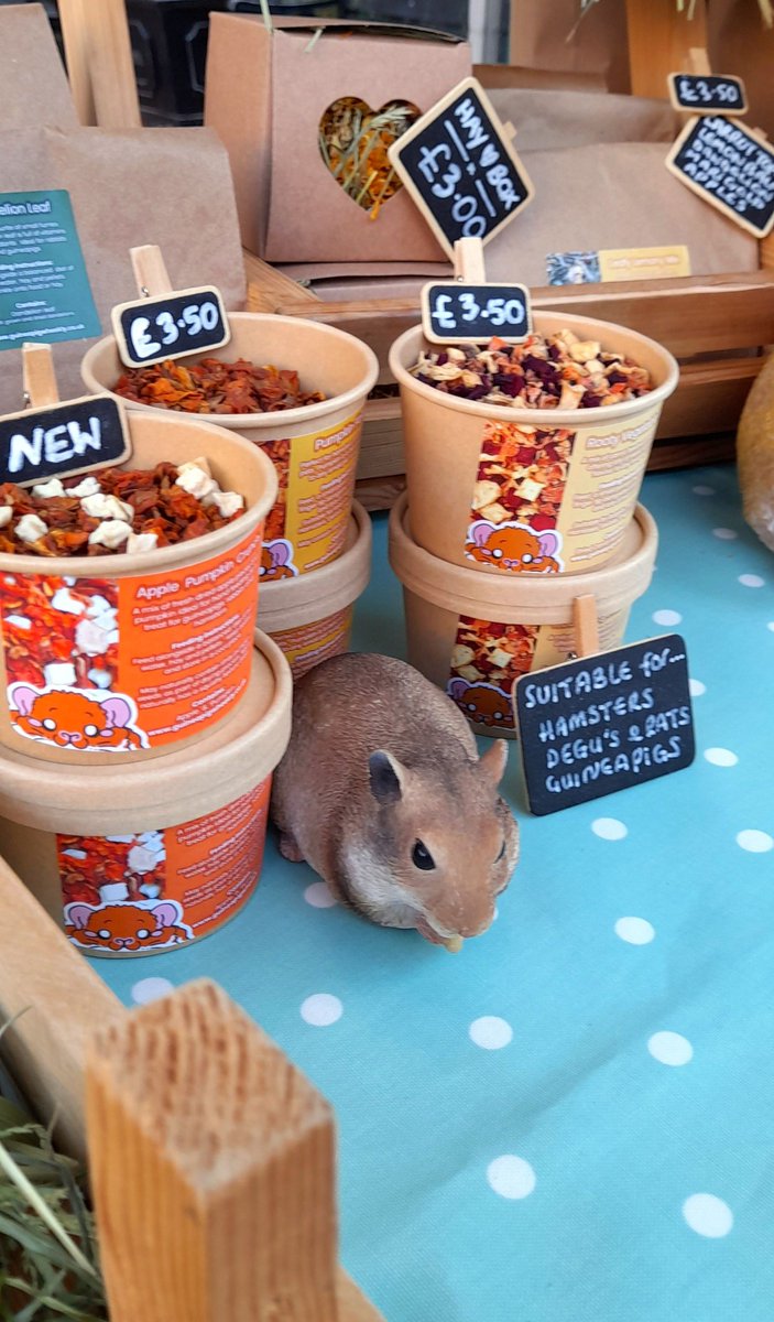 gpigwheekly's tweet photo. 🐰🐹All set up at Nantwich Farmers' Market 9 til 3 today on the square, find me across from chatwins. 🐹🐰
#nantwich #guineapigs #smallpet #rabbit #hamsters https://t.co/pa3LCkjWvd