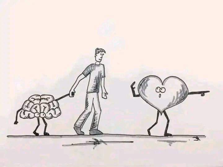 اتبع قلبك ، ولكن خذ عقلك معك
#نقاء_الورد