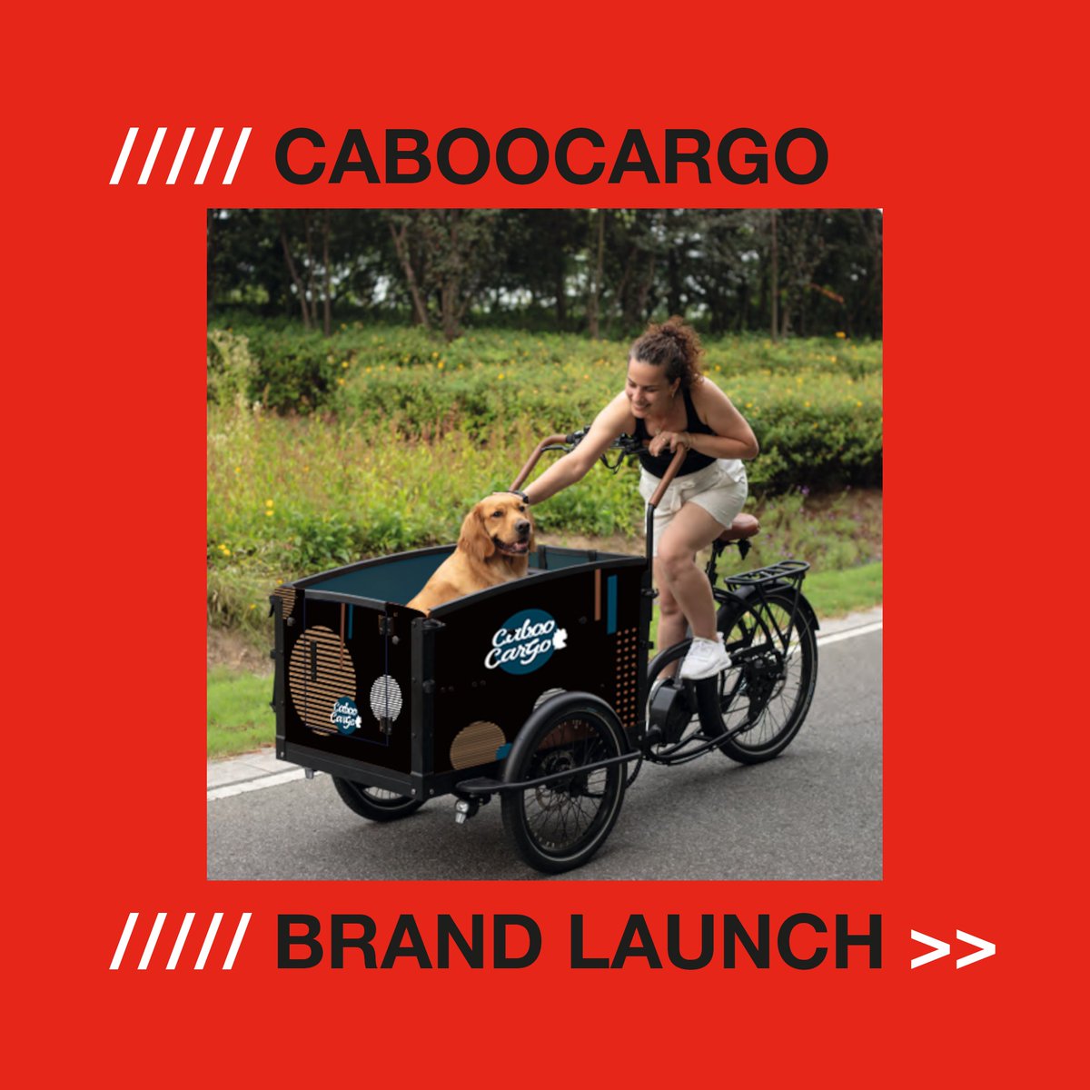 International Cargo Bike Festival tweet media