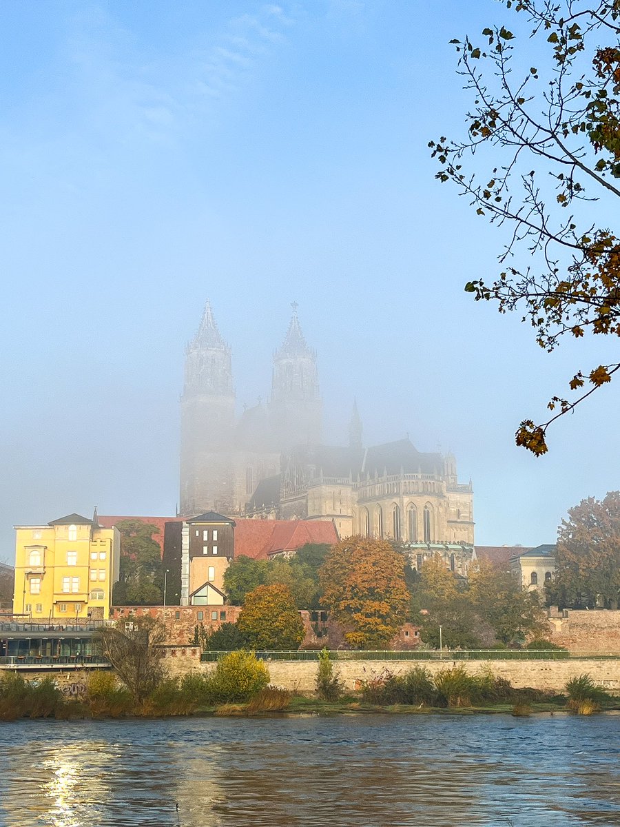 LauGab8's tweet photo. Ganz große Magdeburg Liebe 💚♥️
#einmalimmer https://t.co/Lkhk3h8DoS