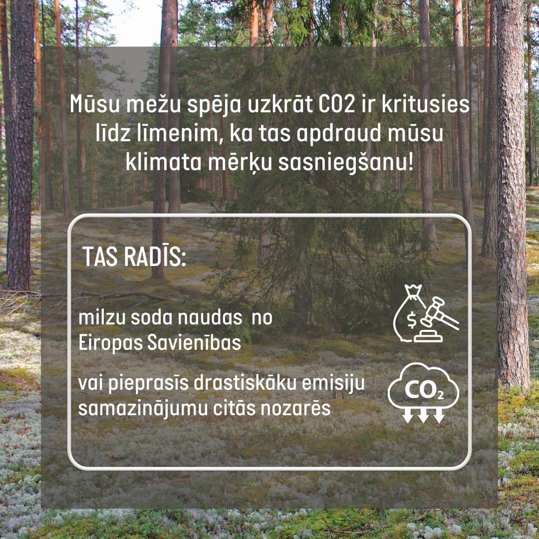 Te ir arī dati par pašreizējo mežu situāciju. Tas, ka dabas aizsardzības speciālisti ceļ trauksmi, ir ļoti pamatoti.