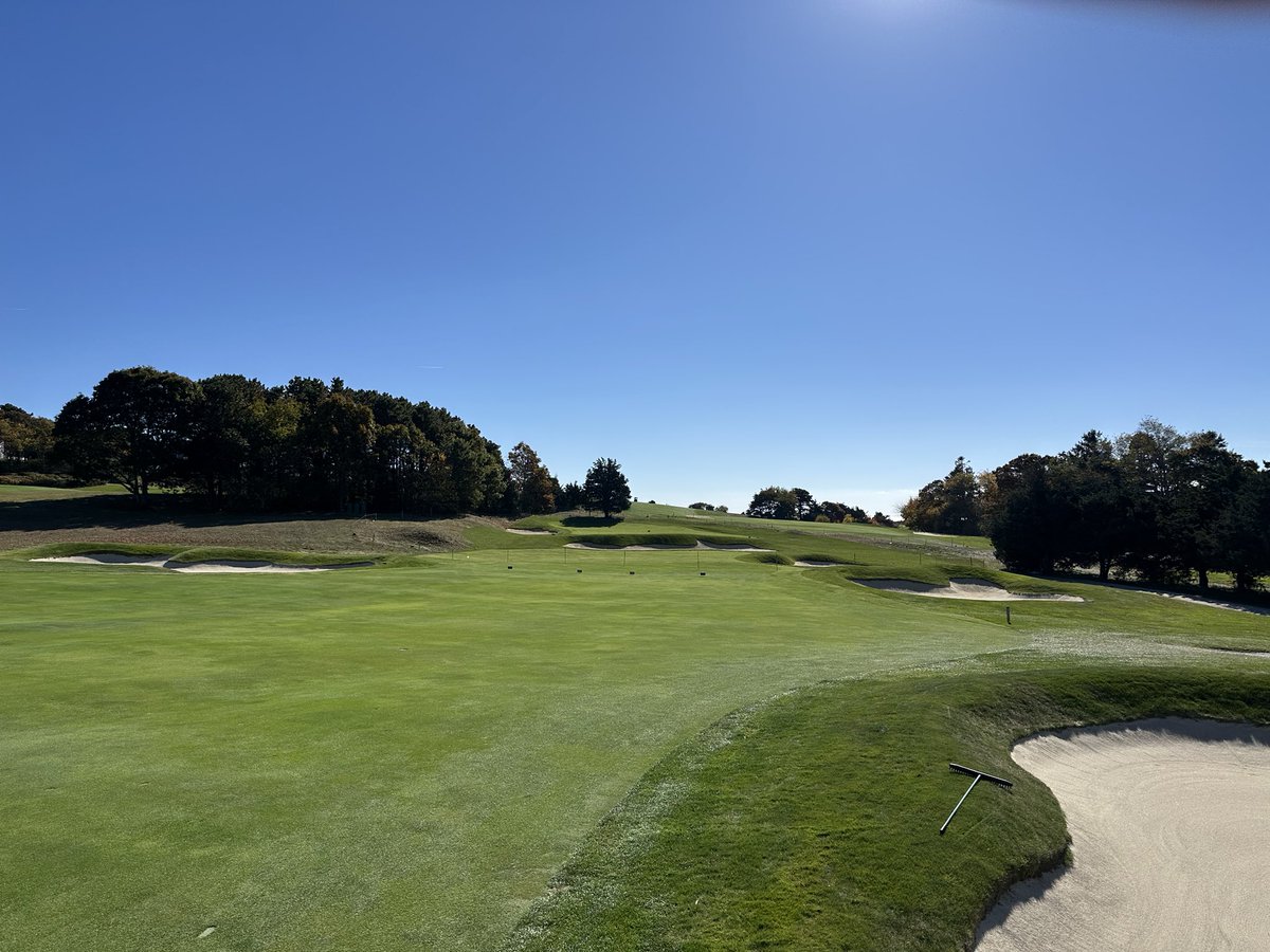 Tom Colombo tweet media