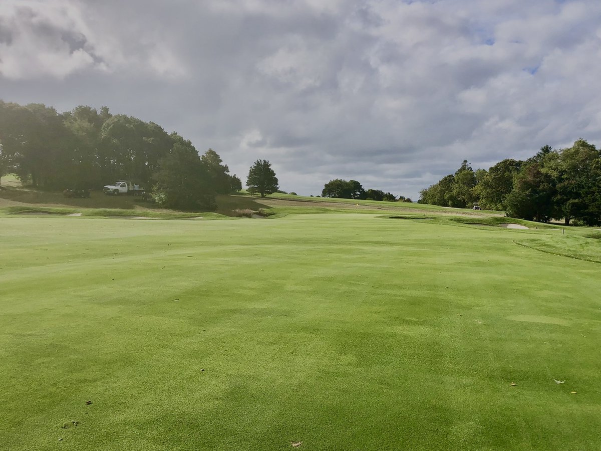 Tom Colombo tweet media