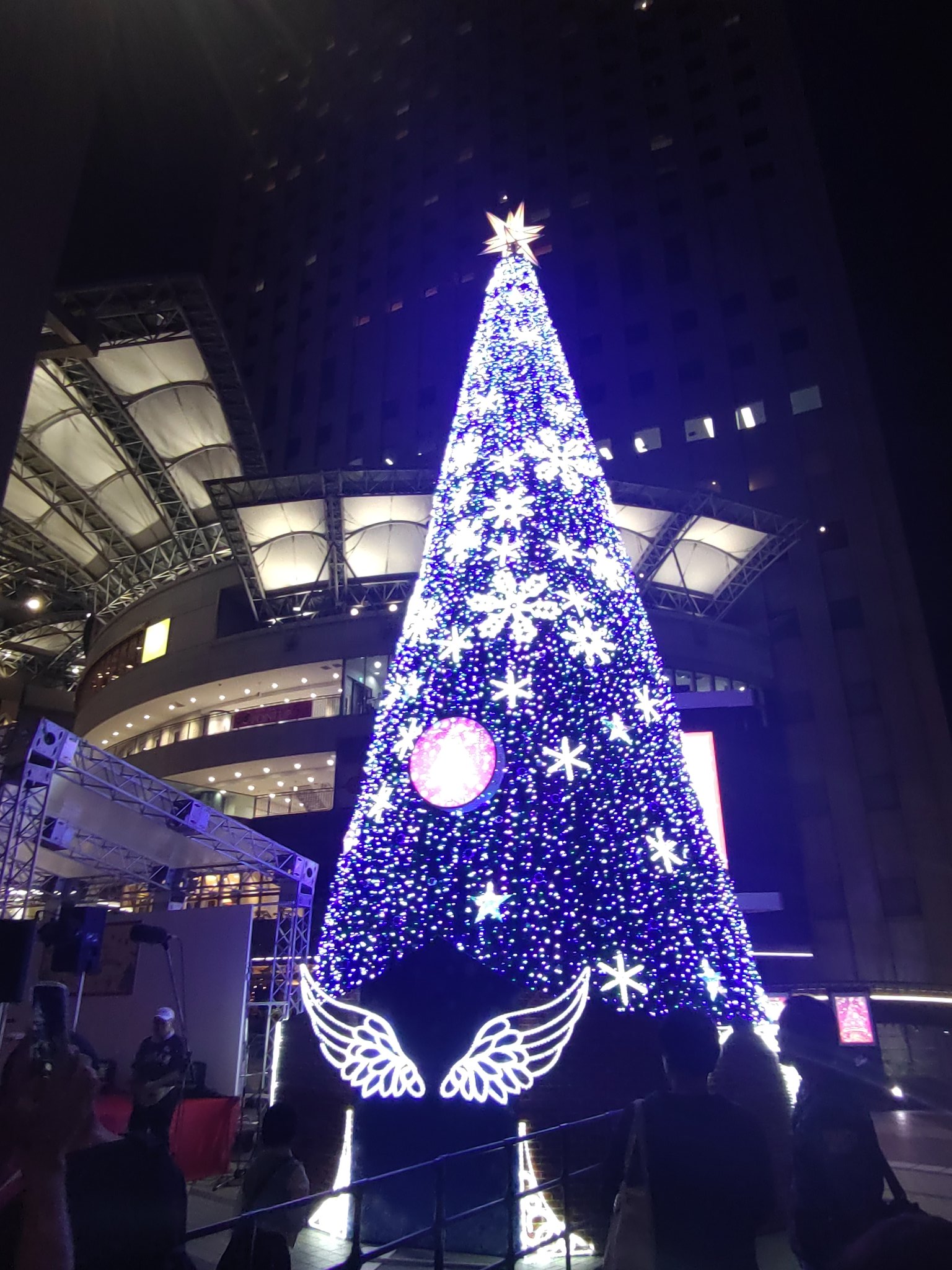 新品バスティン ステンドグラスHollyヒイラギ グラスマスターズ社 クリスマス Amazon | .バスティン ステンドグラスHollyヒイラギ グラス