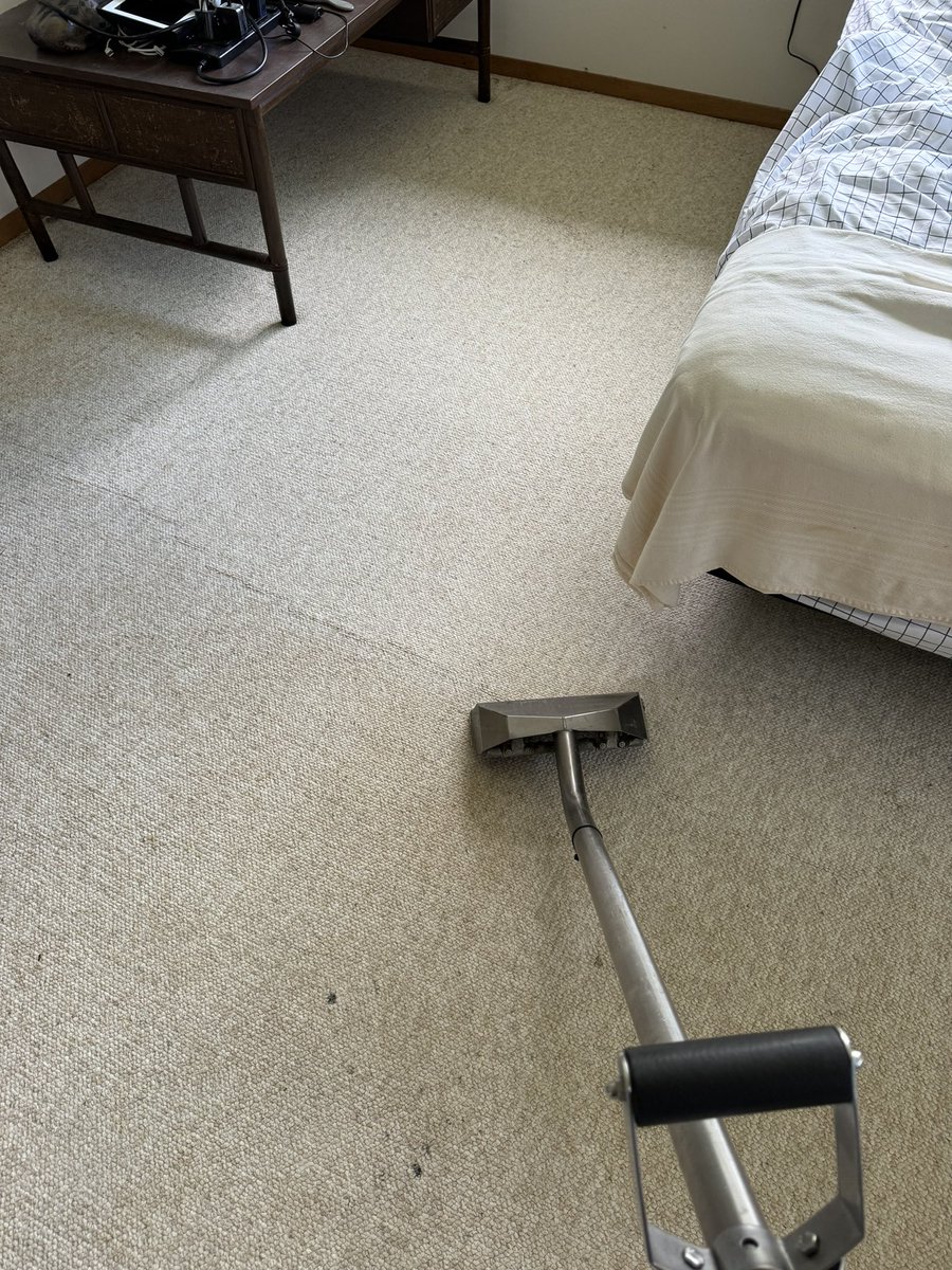 EdsCleaningHI's tweet image. Is your carpet looking more like a science project than home decor? Fear not! We clean your carpets day and night—even at 2 AM if necessary! Because stains don’t adhere to a 9-5 schedule. 😂 #CarpetCare #EmergencyCleaning #StainBeGone #CleanCarpetClub #NightOwlCleaners #BigIsland