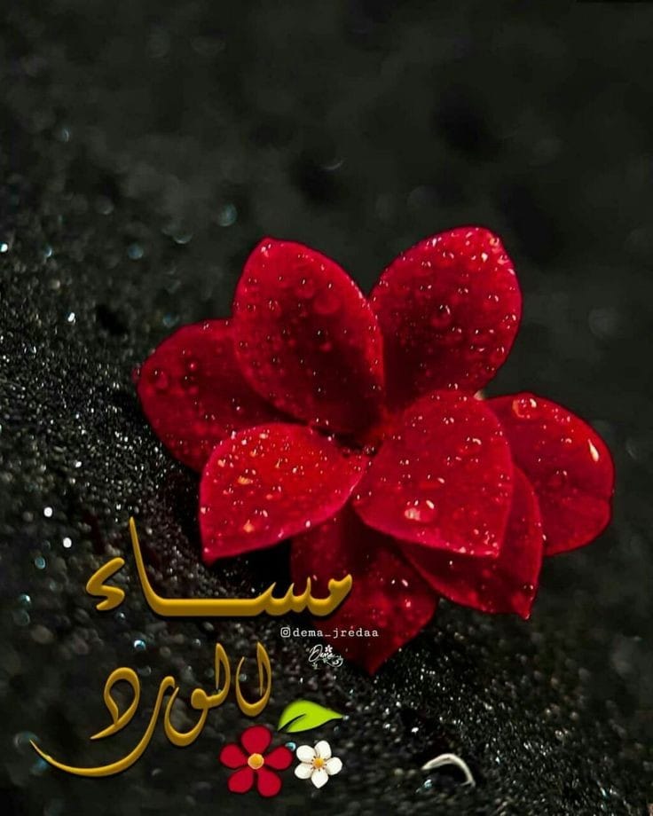 يسعد مساك بكل خير وبركة وسعادة يارب العالمين آمين ✍️