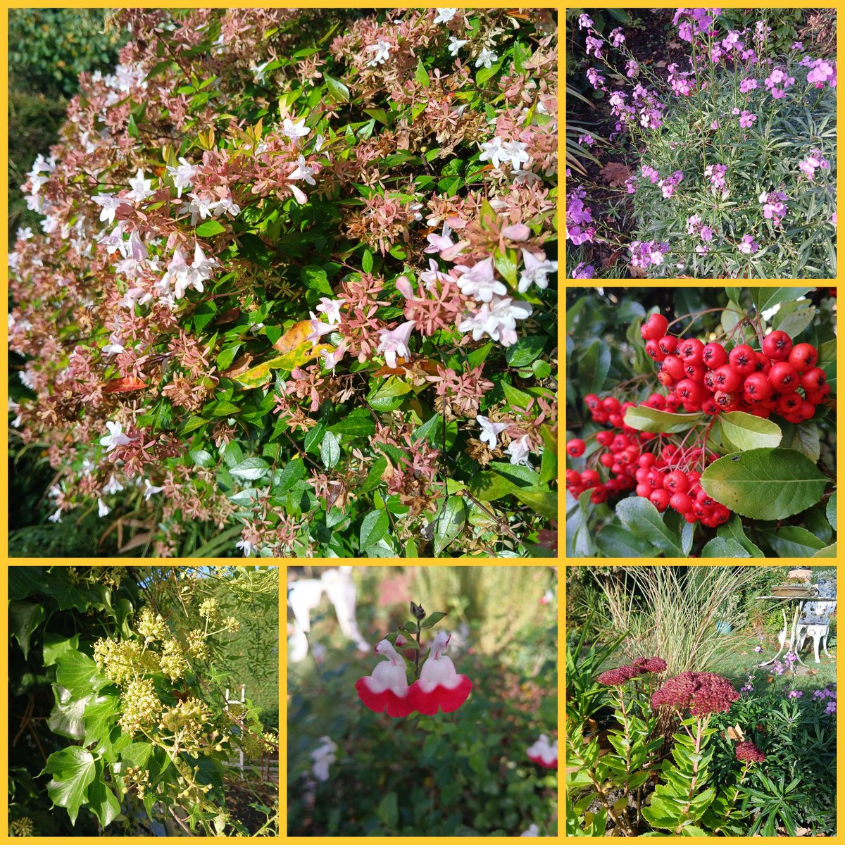 🗿📡🌱🫛🚴‍♂️David🏴󠁧󠁢󠁷󠁬󠁳󠁿 tweet media