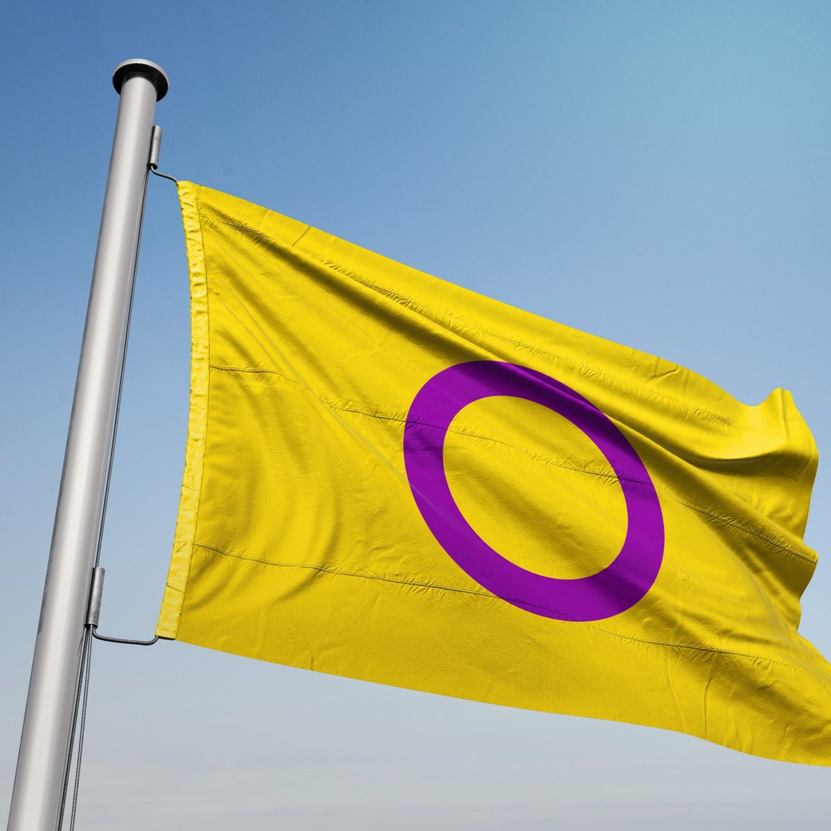 🏳️‍🌈🏳️‍⚧️Avui 26 d'octubre és el dia de la visiblitat Intersexual, una jornada que ens serveix per reivindicar, reconèixer i garantir els drets de les persones intersexuals i erradicar la patologització dels seus cossos