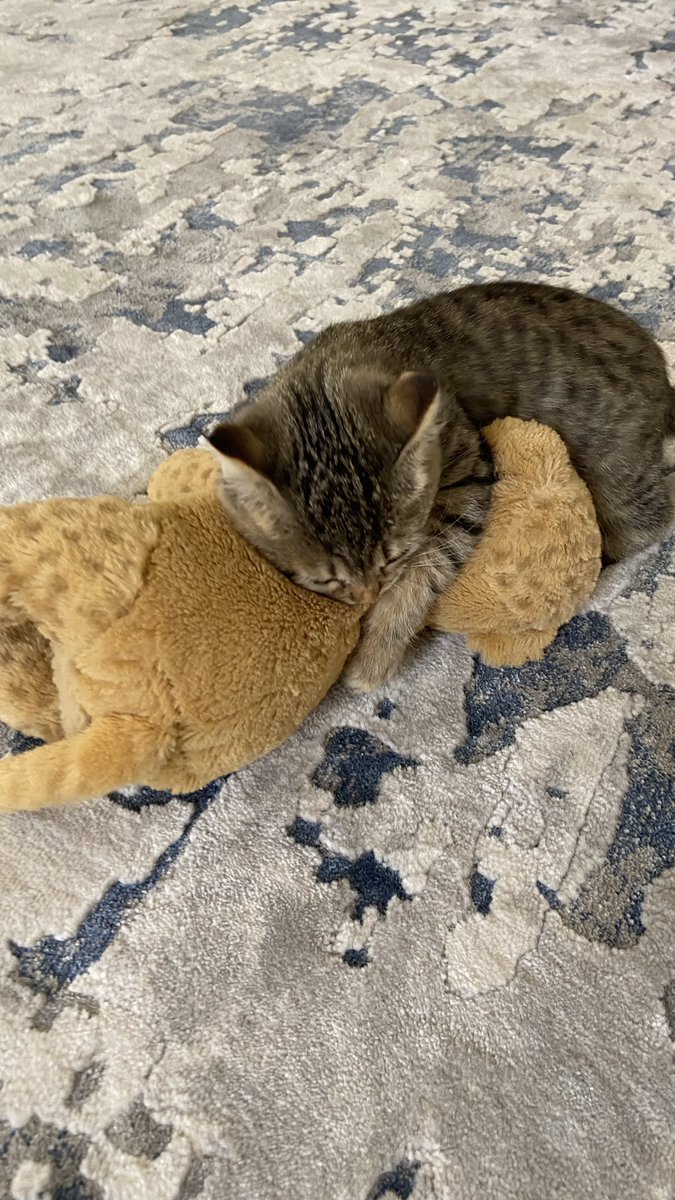 Paperbagjay's tweet image. Feral beast