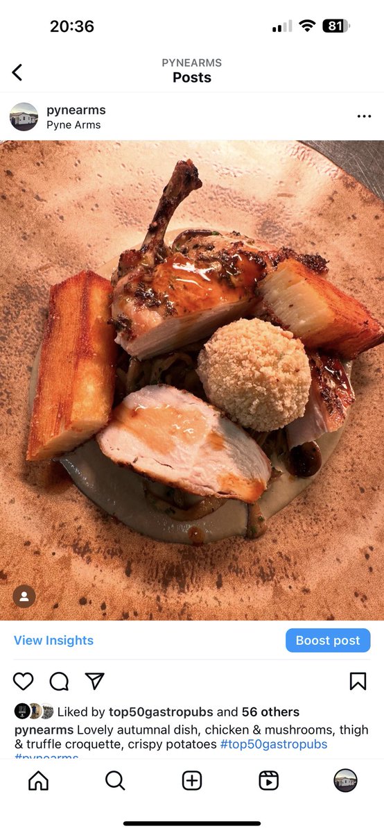 PyneArms tweet media